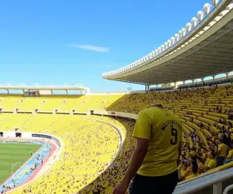 Setembro Amarelo